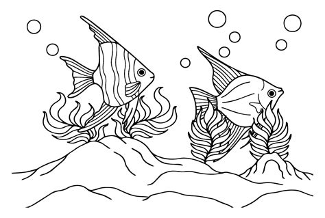 angelfish  color coloring page  printable coloring pages