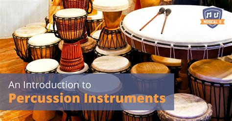 introduction  percussion instruments musical
