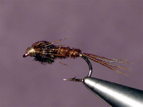 pheasant tail nymph  perfect fly store