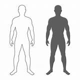 Body Human Male Silhouette Contour Outline Stock Anterior Illustration Posterior Shapes Isolated Symbols Mens Vector Background Depositphotos sketch template