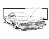 Impala Sketch sketch template