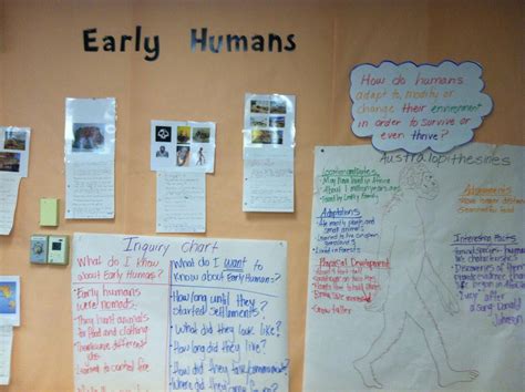 early humans chart  grade social studies social studies education teaching  grade