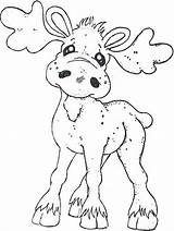 Coloring Pages Moose Christmas Crafts Adult Colouring Sheets Books Uploaded User sketch template