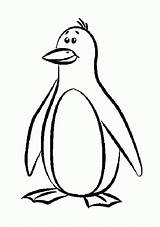 Penguin Coloring Pages Penguins Printable Emperor Cartoon Clipart Cute Baby Winter Colouring Color Book Silly Enjoy Drawing Pittsburgh Kids Clip sketch template