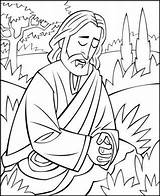 Gethsemane Praying Bible Sunday Illustrating sketch template