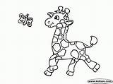 Coloring Giraffe Cute Pages Print Everfreecoloring sketch template