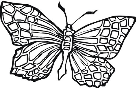 printable butterfly coloring pages  kids beautiful butterfly