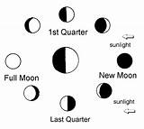 Earth Moon Phases Around Cycle Coloring Template Sketch Moves Draw Color Pages Yellow sketch template