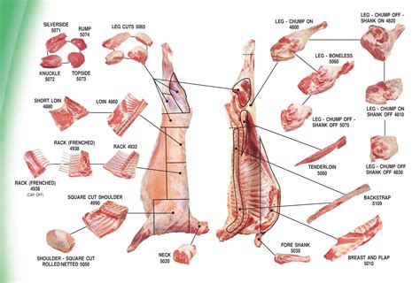 sheep cuts  meat chart lamb cuts cooking methods   love
