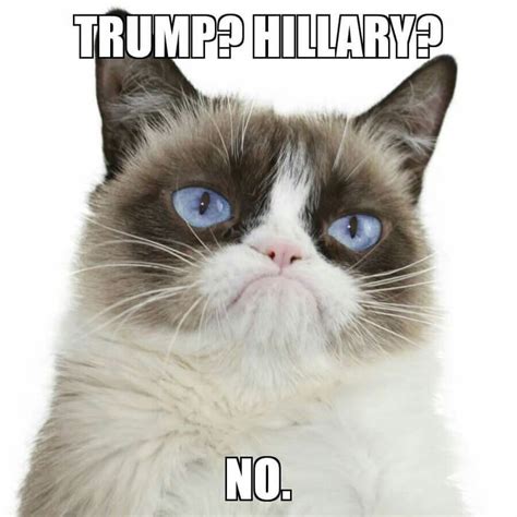 My Feelings Exactly Grumpy Cat Grumpy Cat Meme Cat Jokes Grumpy