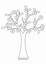 Tree Coloring Pages Cherry Banyan Baobab Trees Spring Colouring Getcolorings Printable Getdrawings Color Drawing Banya sketch template