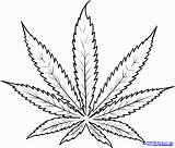 Leaf Weed Drawing Simple Marijuana Cannabis Draw Step Tattoos Getdrawings sketch template
