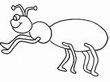 Ant Coloring Pages Color sketch template
