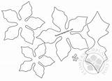 Poinsettia Template Flower Outline Paper Templates Drawing Printable Pattern Getdrawings Flowers Leave sketch template