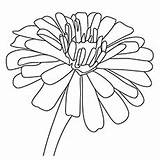 Fargelegging Vakre Blomster sketch template