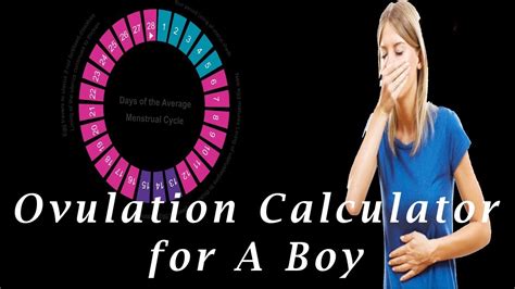 ovulation calculator   boy tips  tricks  ovulation calculator   boy youtube
