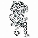 Tiger Tattoo Coloring Pages Tribal Animal Printable Mandala Template Favecrafts Print Adult Tattoos Drawing Book Head Getdrawings Getcolorings Sheets Color sketch template