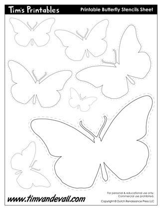 butterfly templates butterfly shapes tims printables