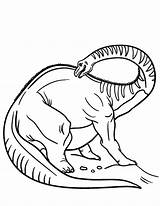 Diplodocus Coloring Pages Netart Back Scrathing His Chibi  sketch template