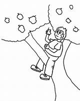 Tree Coloring Boy Climbing Apple Eating Kidsplaycolor Kids Pages 54kb Color sketch template