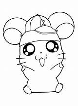 Coloring Hamster Cute Pages Popular Hamtaro sketch template
