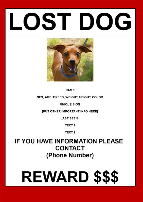 lost dog flyer template  template ideas