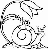 Snail Coloring Two Pages Printable Kids sketch template