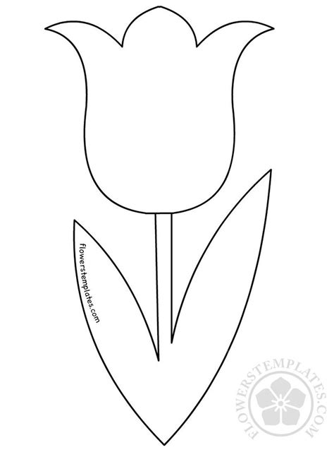 tulip template shape coloring pages flower templates printable