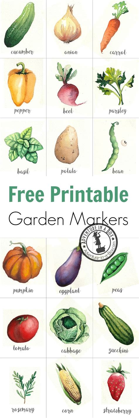printable watercolour garden markers