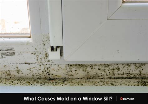 clean  prevent mold   window sill