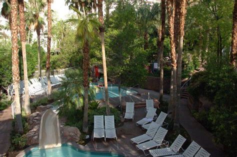 The Swimming Pools At The Flamingo Hotel In Las Vegas