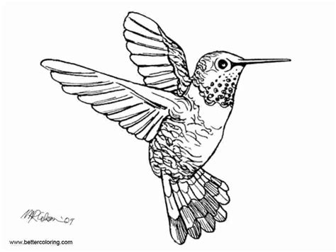 printable realistic bird coloring pages thiva hellas