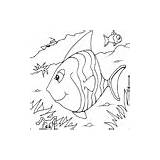 Fish Colouring Angel Pages sketch template