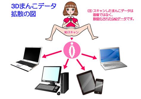 3d vagina japanese woman arrested for distributing 3d printer file of her genitals