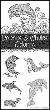 Coloring Pages Dolphins Whales Dolphin Whale Adult Colouring Ocean Theme Mermaid Themes Color Bloglovin Adults Kids Books Sheets Animal sketch template