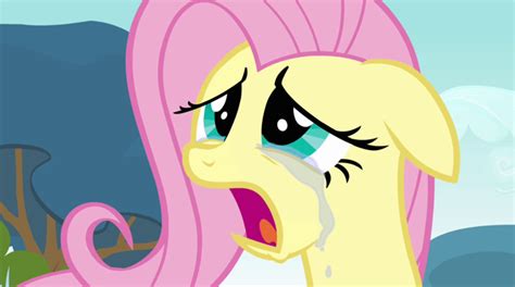 The Brony Sacrifice The Torture Of Fluttershy By