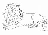 Lion Coloring Pages Printable Lions Animals Drawing Easy Down Cub Print Color Lying Mouse Draw Cool Kids High Animal Drawings sketch template
