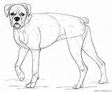 Dogs Supercoloring sketch template