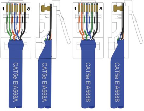 cat  cable connector wiring diagram wiring cate