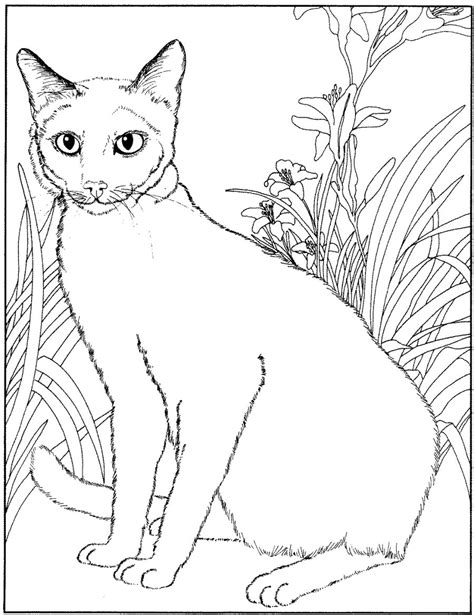 siamese cat coloring page  getdrawings