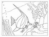 Coloring Fish Angel Pages Animals Sea Popular Ocean Library Coloringhome Comments sketch template