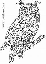 Pages Whimsical Coloring Animal Template Owl Animals Printable Colorpagesformom sketch template