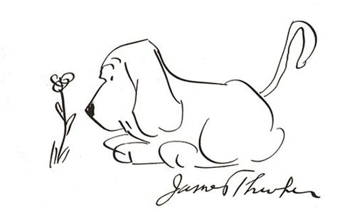 50 Best Thurber Cartoons Images By Bernard Maclaverty On