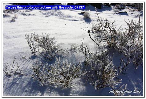 snow cover   mountains snow cover   mountains flickr