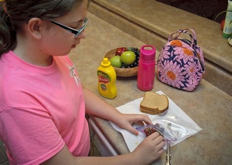 lunch boxes clean  reduce germs illness mississippi state