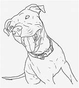 Pitbull Coloring Drawing Pages Baby Cute Dog Staffy Puppy Printable Clipart Dogs Pit Bull Print Puppies Coloringhome American Bully Pngkey sketch template