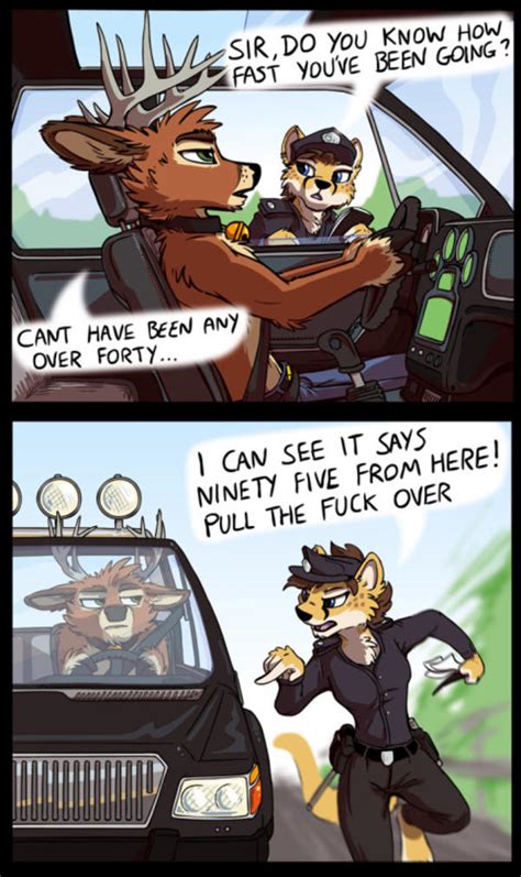 traffic cats furries know your meme