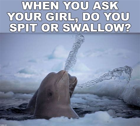 Image Tagged In Swallow Spit Imgflip