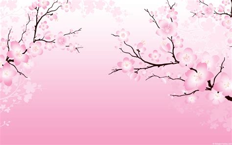 natural cherry blossom pictures   cherry blossom desktop wallpapers annaharper