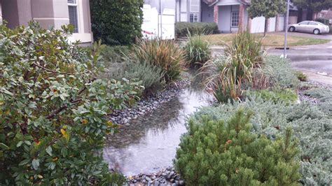 rain garden  action laguna creek watershed council